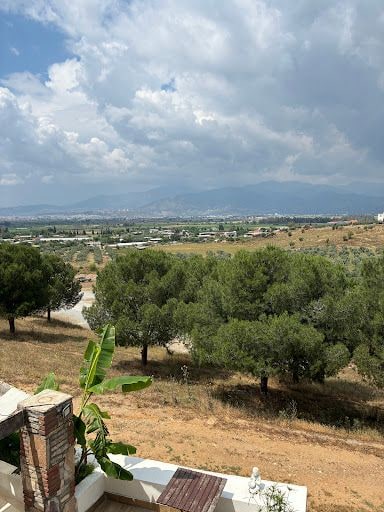 Fotoğraf 28