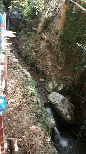 Yorum fotoğrafı 6