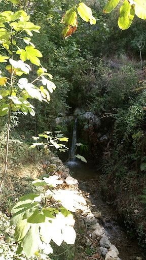 Yorum fotoğrafı 7