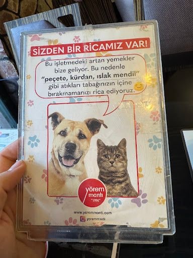 Yorum fotoğrafı 6
