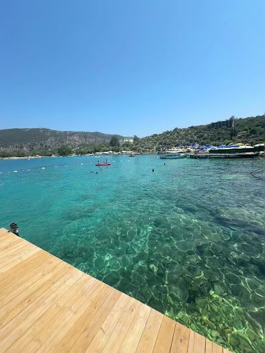 Yorum fotoğrafı 6