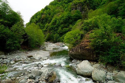 Fotoğraf 19