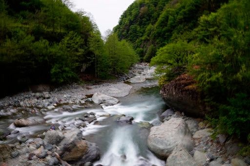 Fotoğraf 20