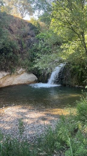 Fotoğraf 13