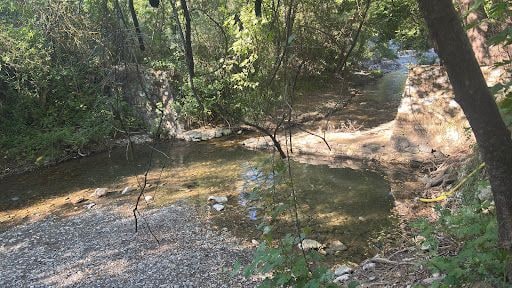 Fotoğraf 16