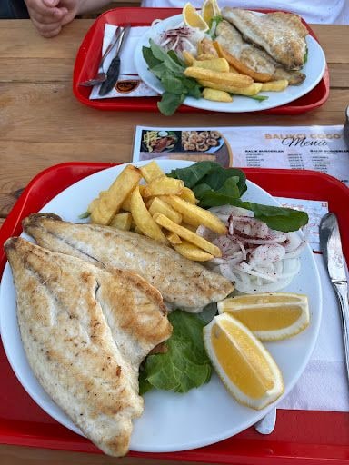 Fotoğraf 15