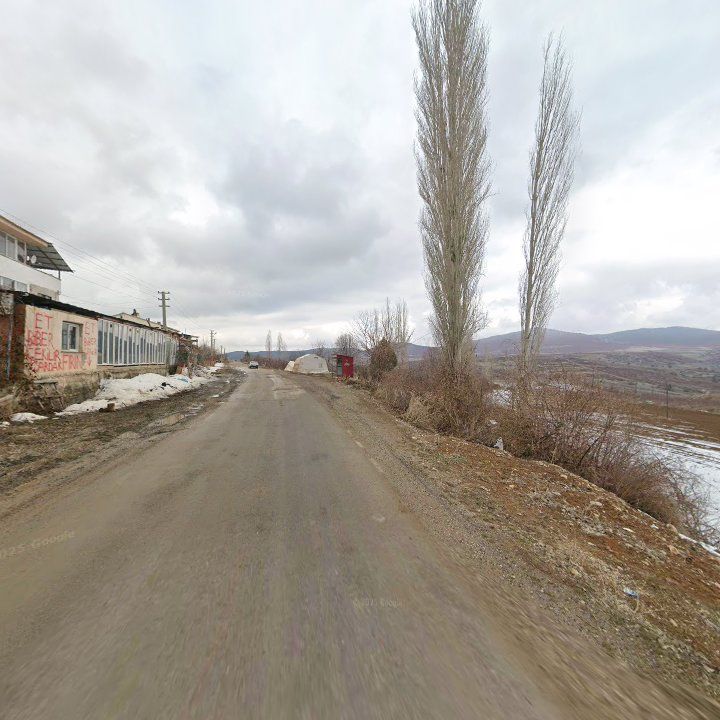 Fotoğraf 7