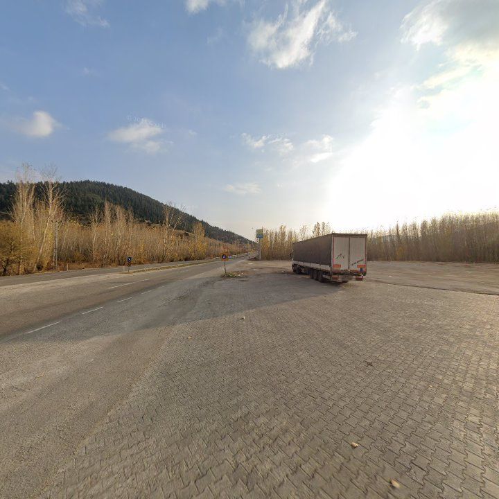 Fotoğraf 9