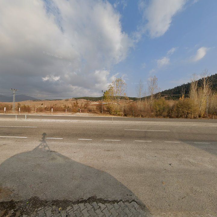 Fotoğraf 8