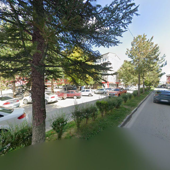 Fotoğraf 7
