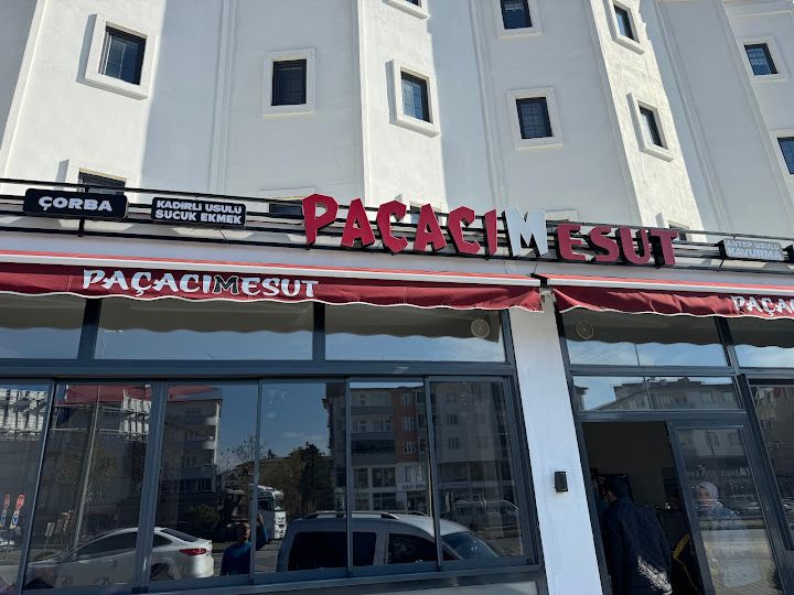 Paçacımesut