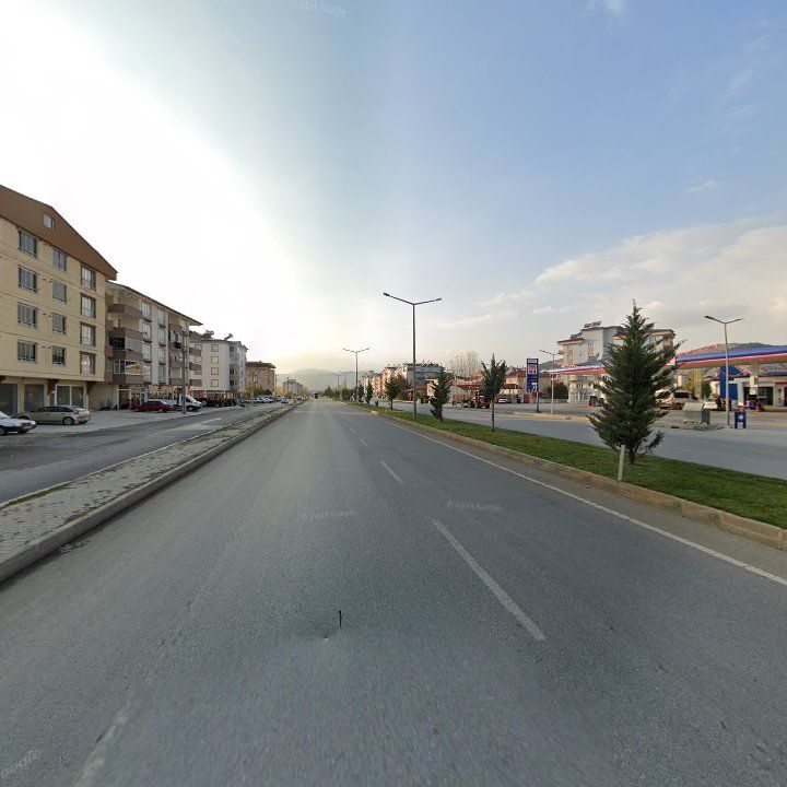 Fotoğraf 7