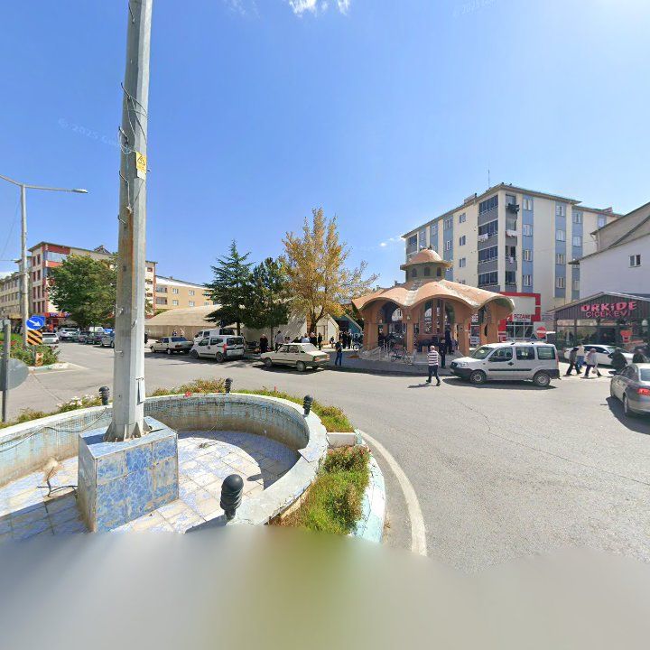 Fotoğraf 8