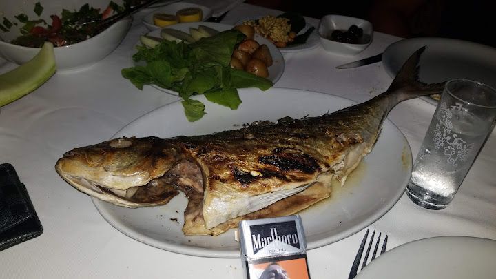 Fotoğraf 32