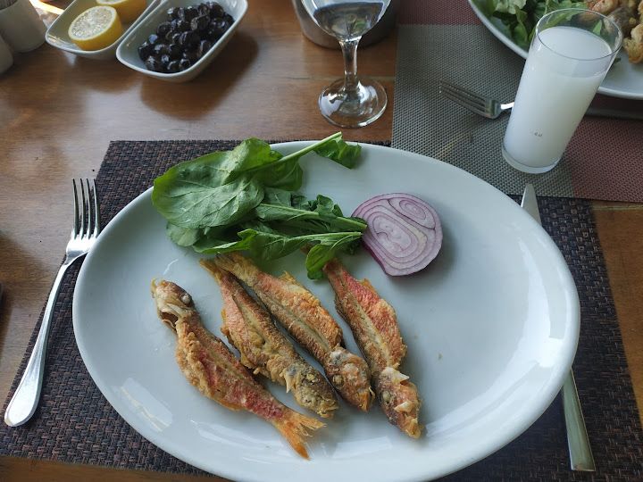 Fotoğraf 23