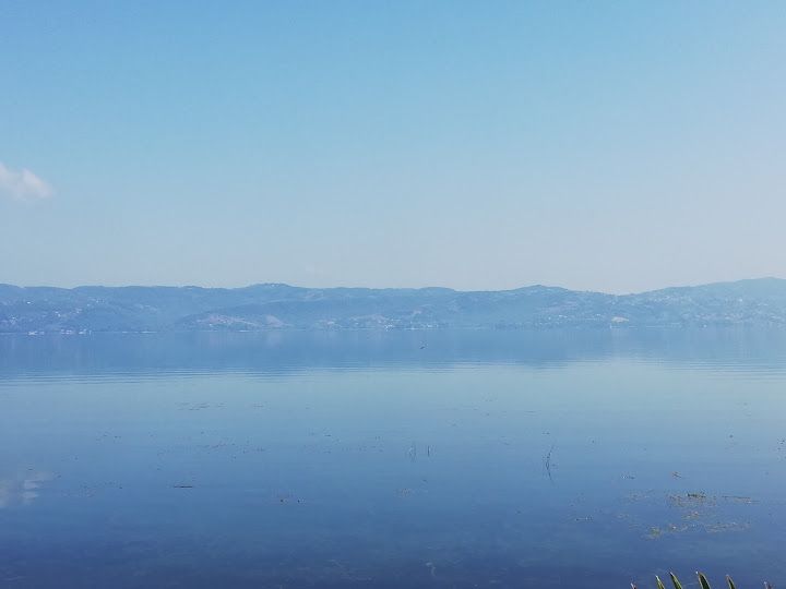 Fotoğraf 44