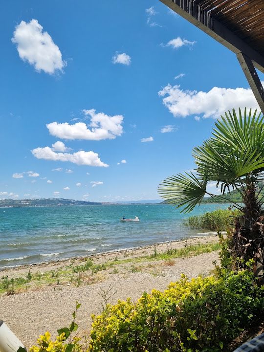 Fotoğraf 24
