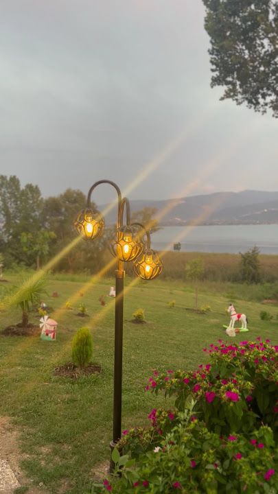 Fotoğraf 28