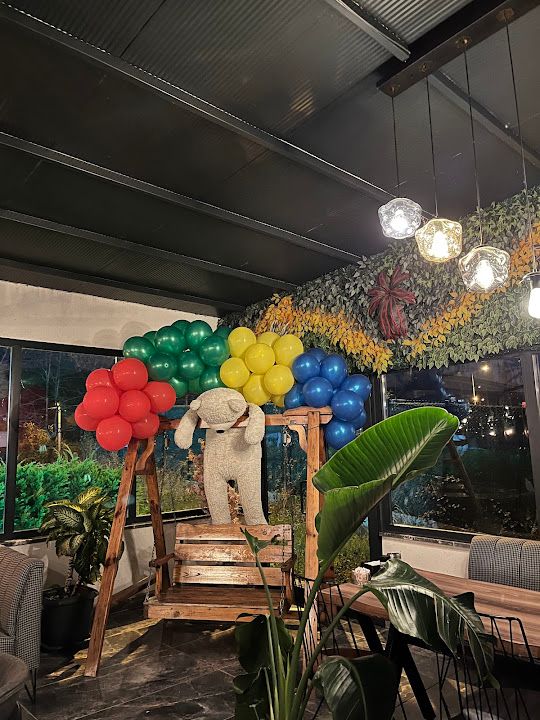 Yorum fotoğrafı 2