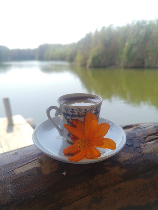 Fotoğraf 42