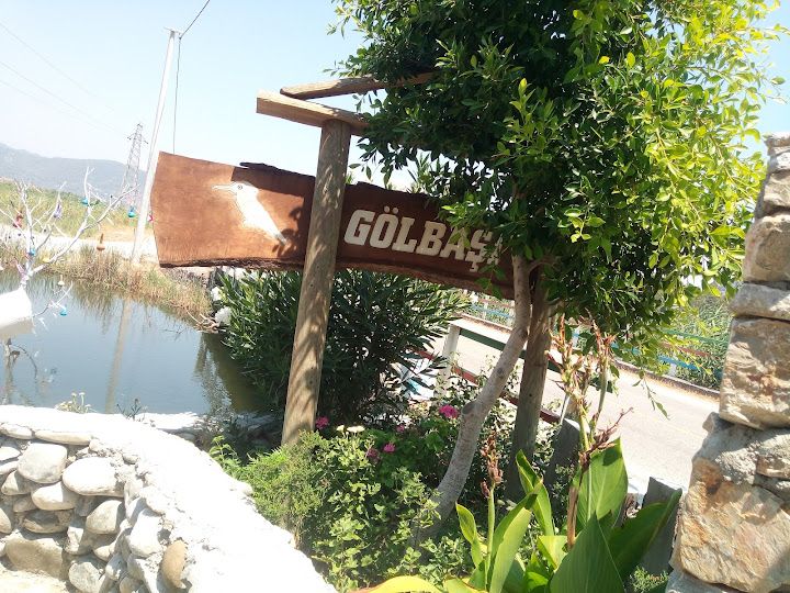 Fotoğraf 22