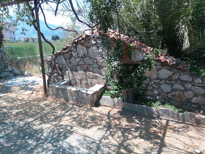 Fotoğraf 19
