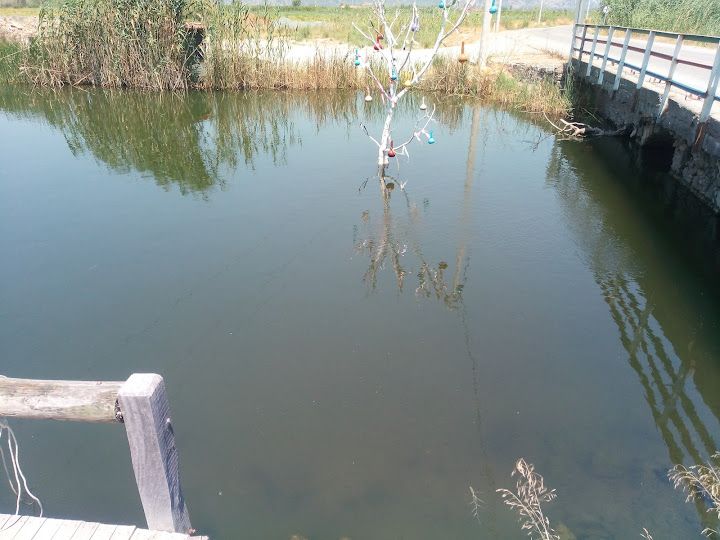 Fotoğraf 20