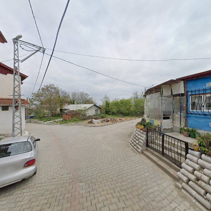 Fotoğraf 9