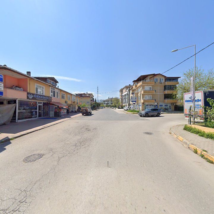 Fotoğraf 12