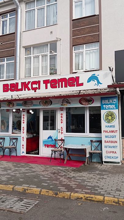 Balıkçı Temel
