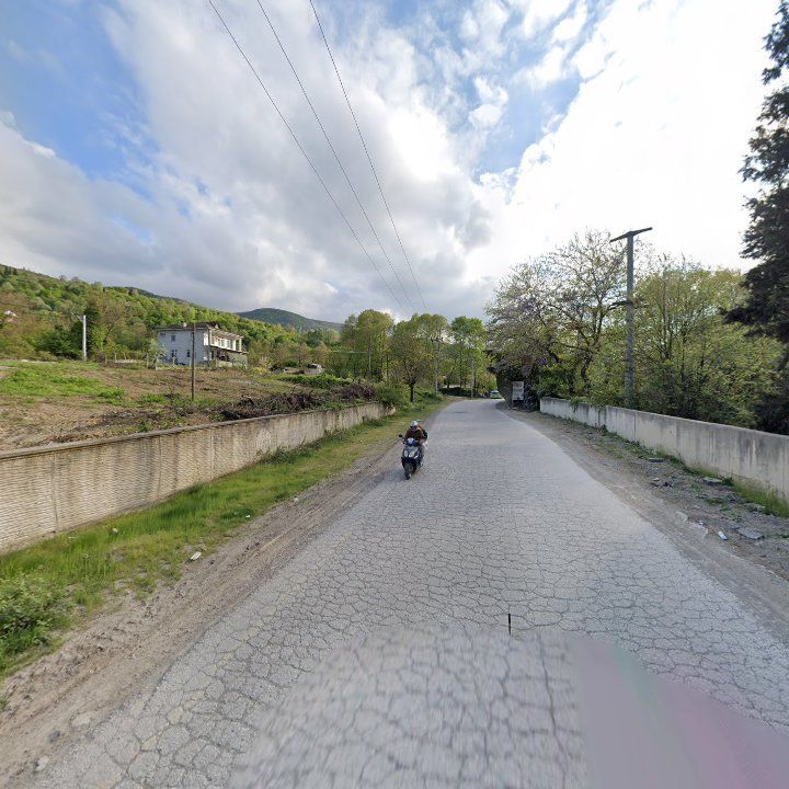 Fotoğraf 7