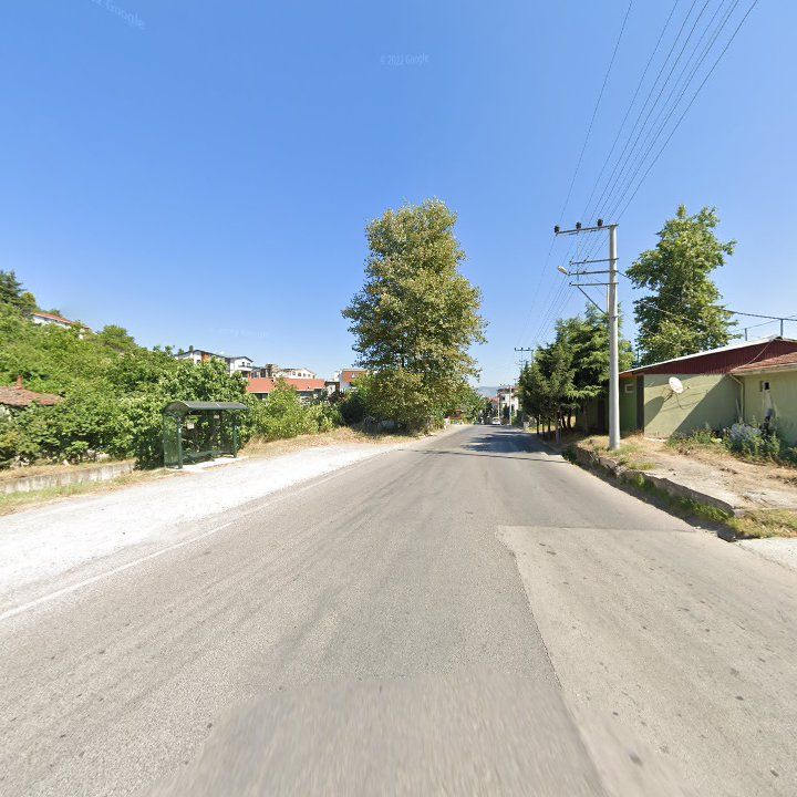 Fotoğraf 11