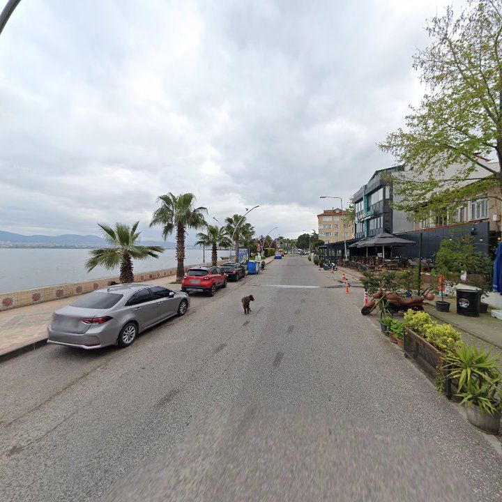 Fotoğraf 11