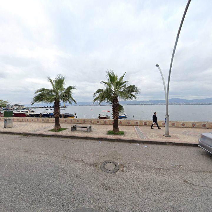 Fotoğraf 10