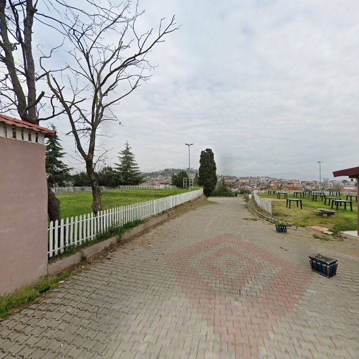 Fotoğraf 10