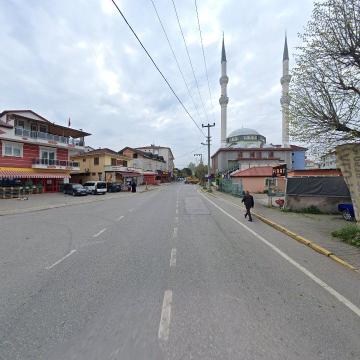 Fotoğraf 6