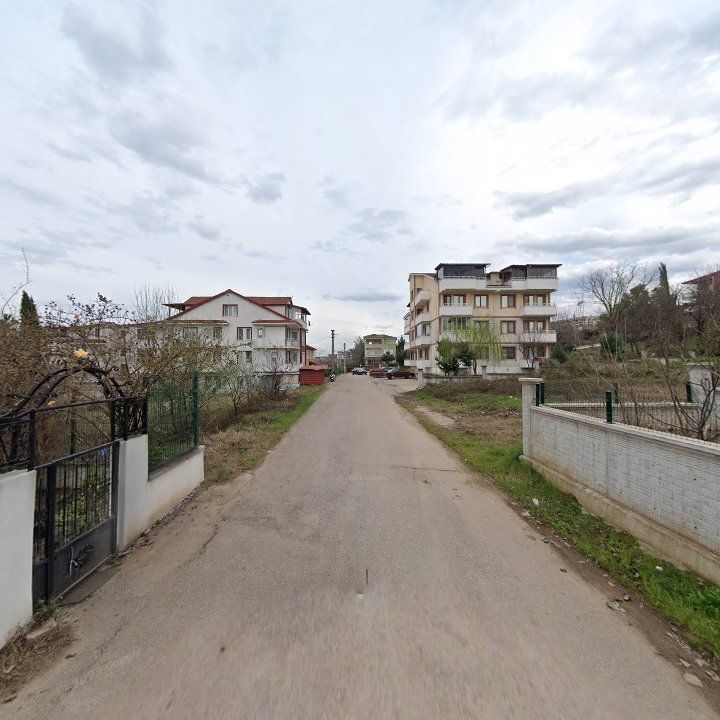 Fotoğraf 9