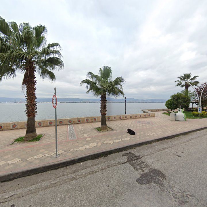 Fotoğraf 12