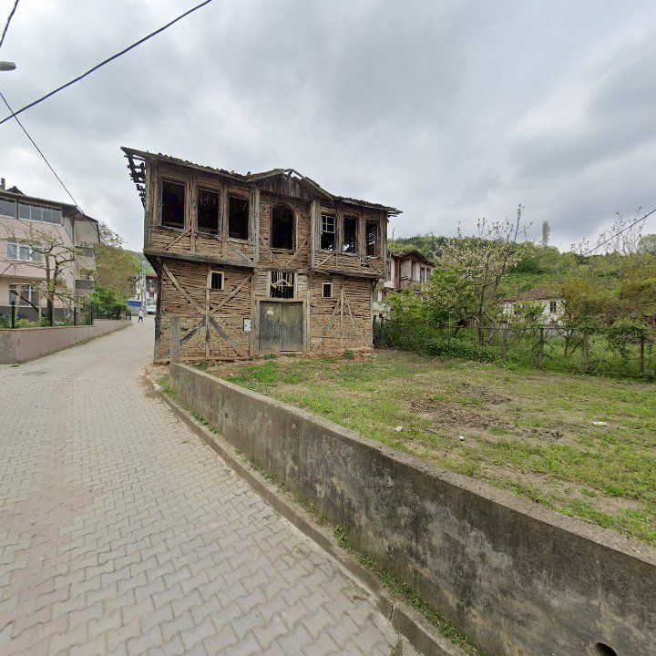 Fotoğraf 9