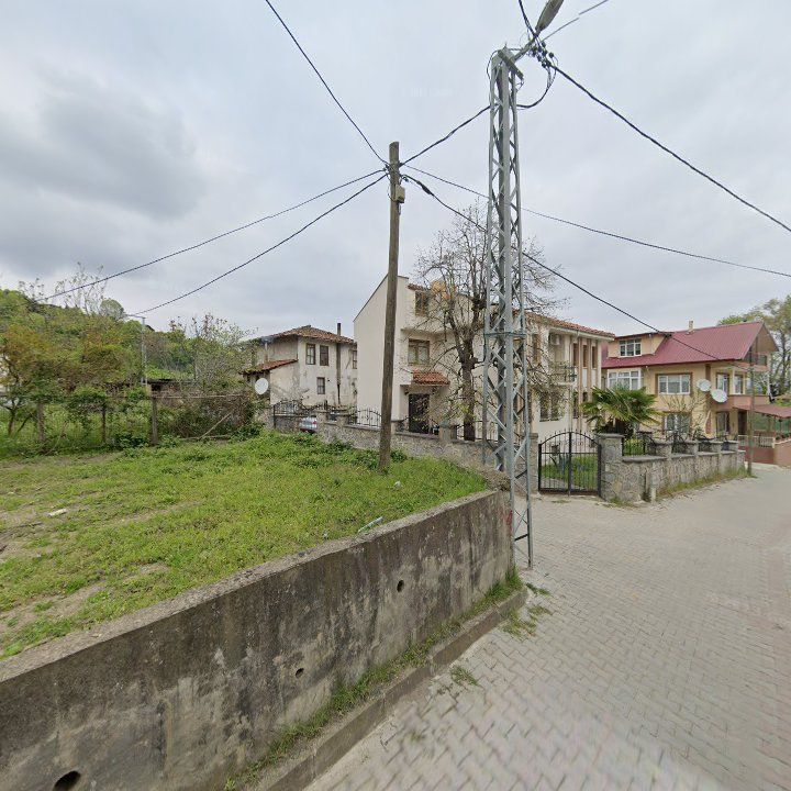Fotoğraf 10