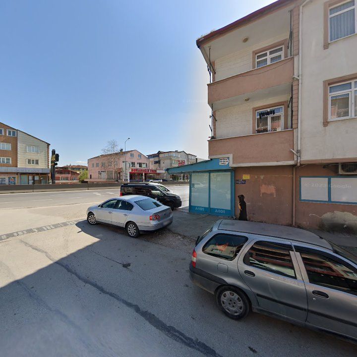 Fotoğraf 7