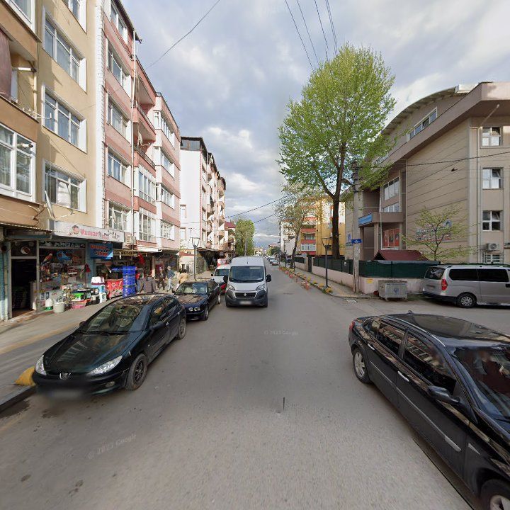 Fotoğraf 9