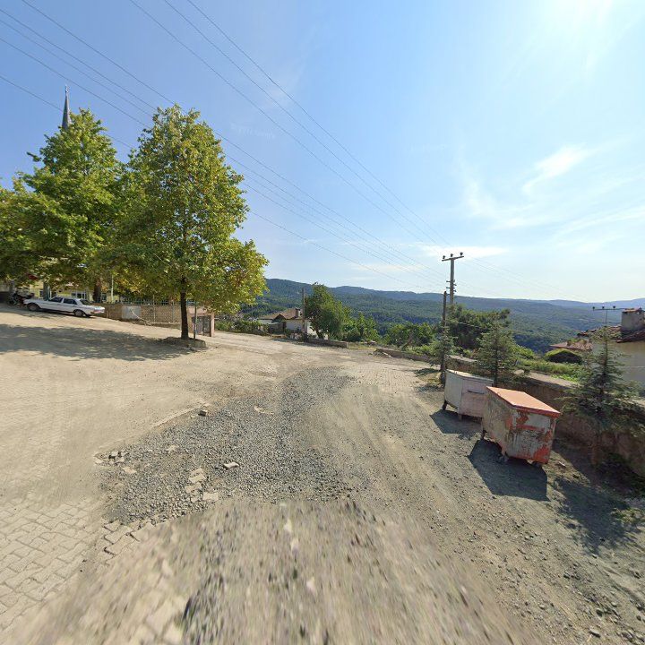 Fotoğraf 6