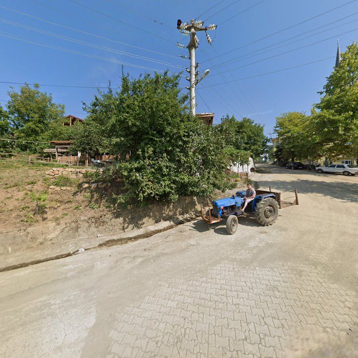 Fotoğraf 5