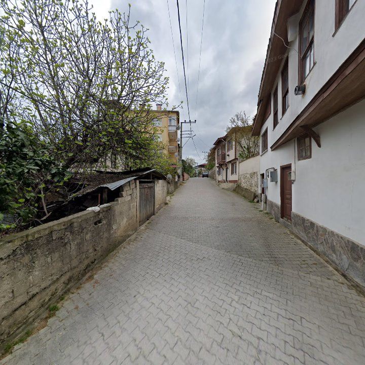 Fotoğraf 10