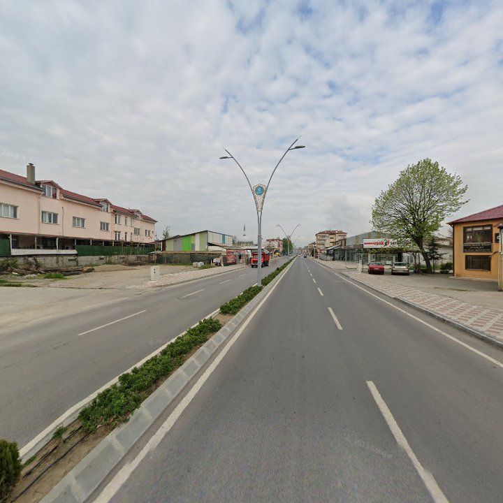Fotoğraf 12