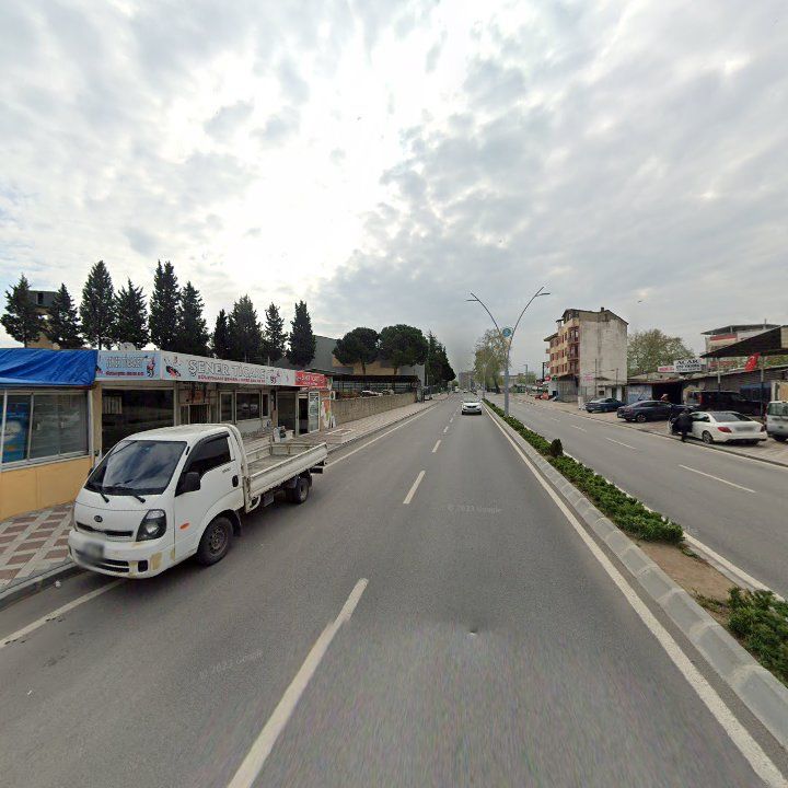 Fotoğraf 10