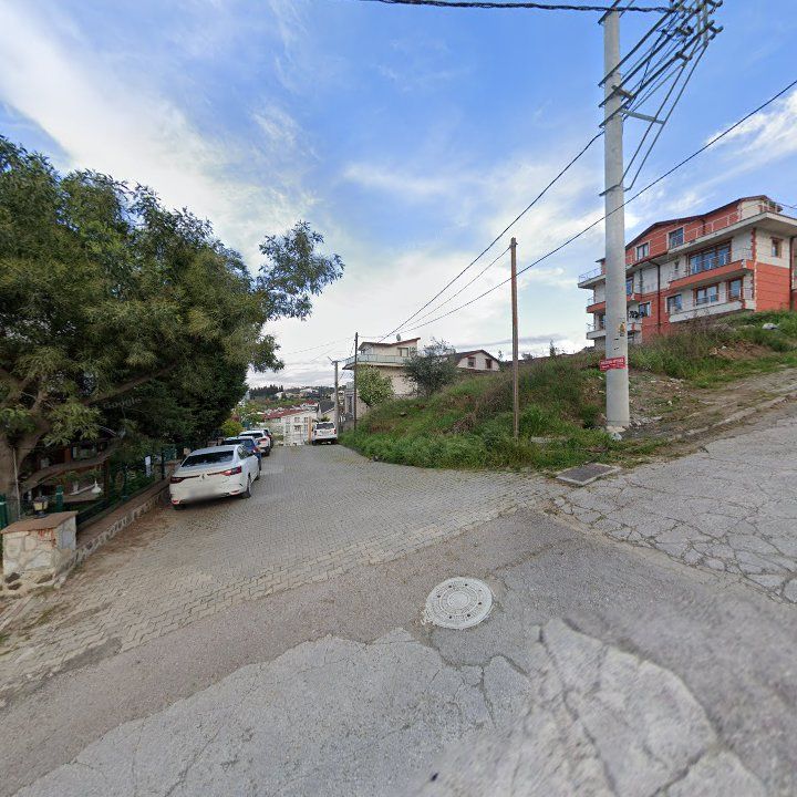 Fotoğraf 8