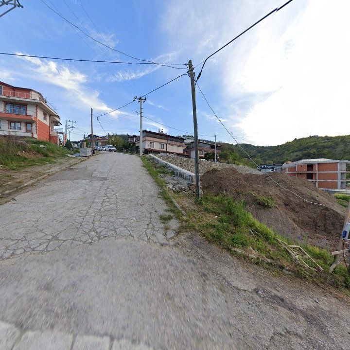 Fotoğraf 9