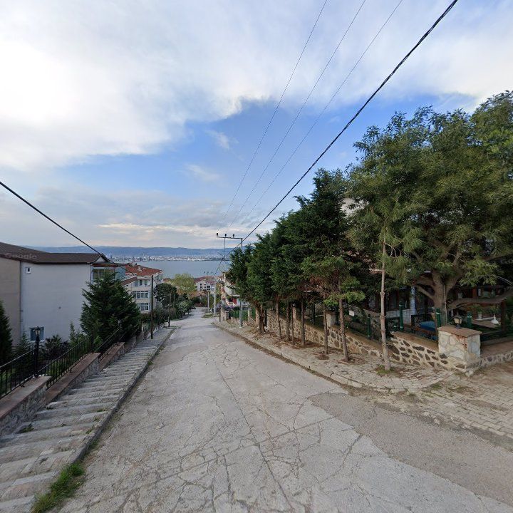 Fotoğraf 11